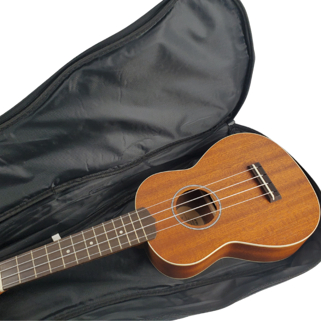 carry case fits a soprano ukulele